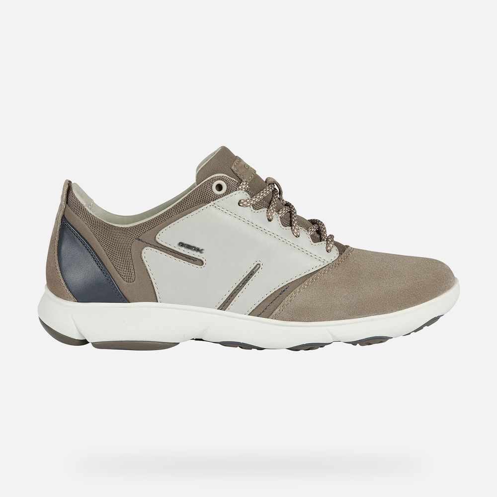 Tenis Geox Homem Cinzentas - Nebula - AQLFG4320